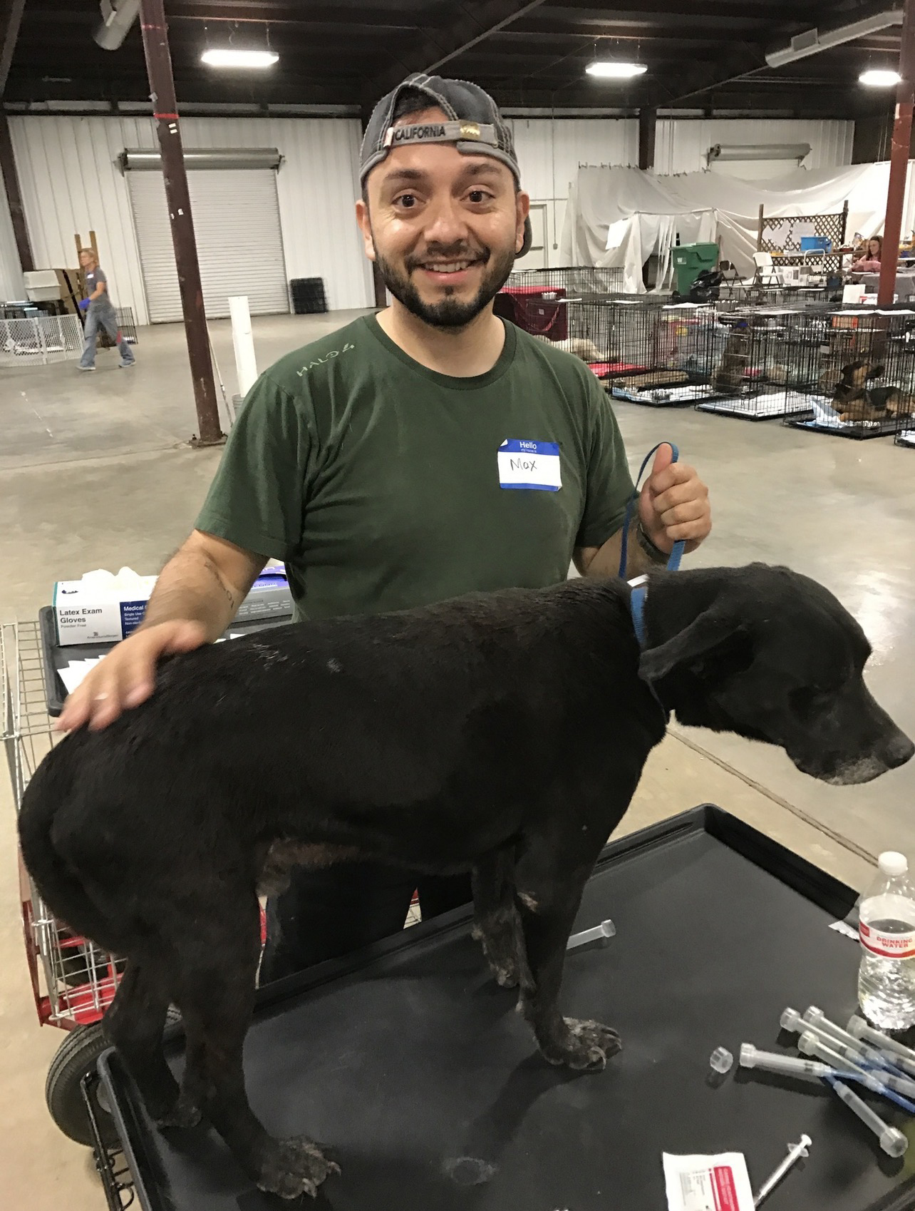 Max providing veterinary care while volunteering in a hurricane disaster response
